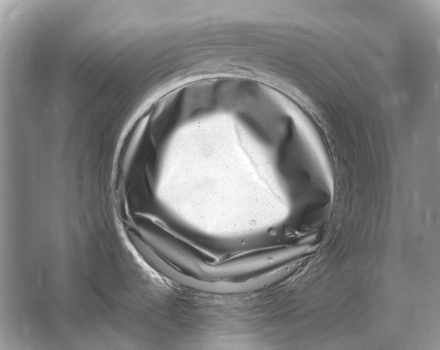 X0000064771536200603031812