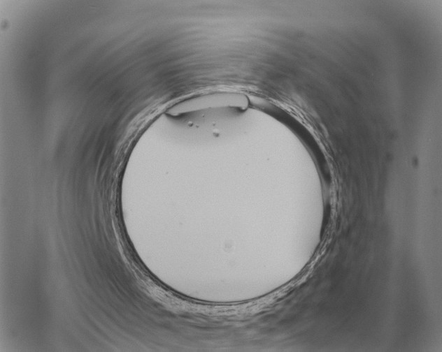 X0000064770001200603131445