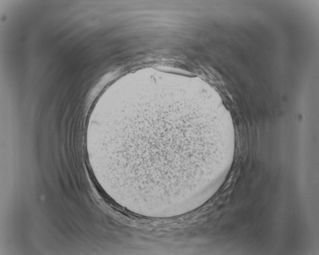 X0000064770003200603131445