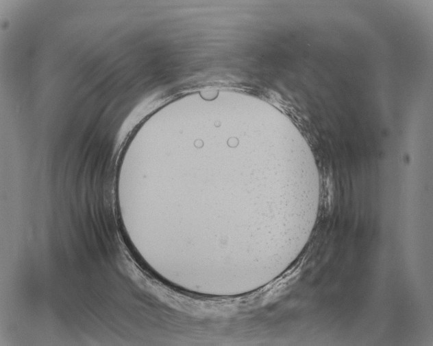 X0000064770004200603131445