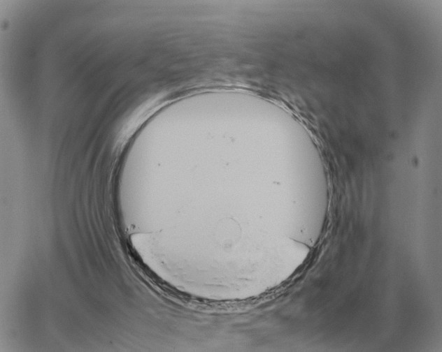 X0000064770005200603131445