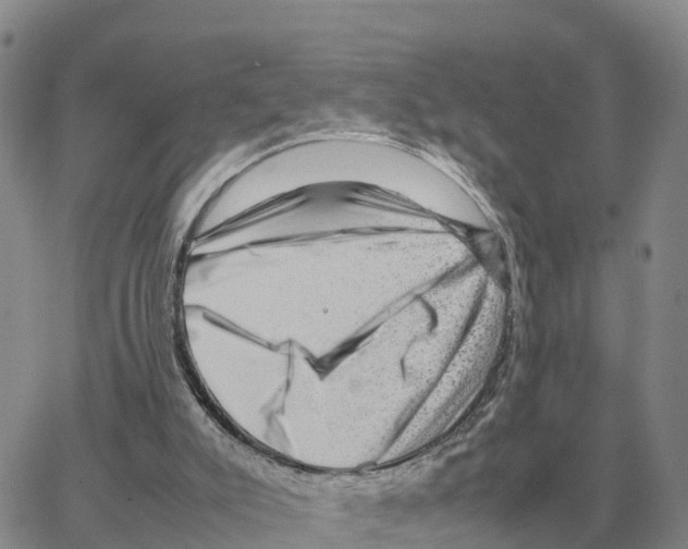 X0000064770007200603131445