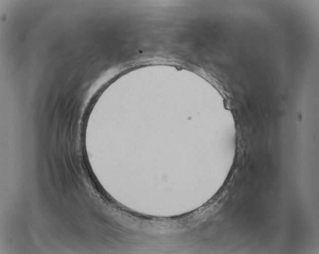 X0000064770008200603131445