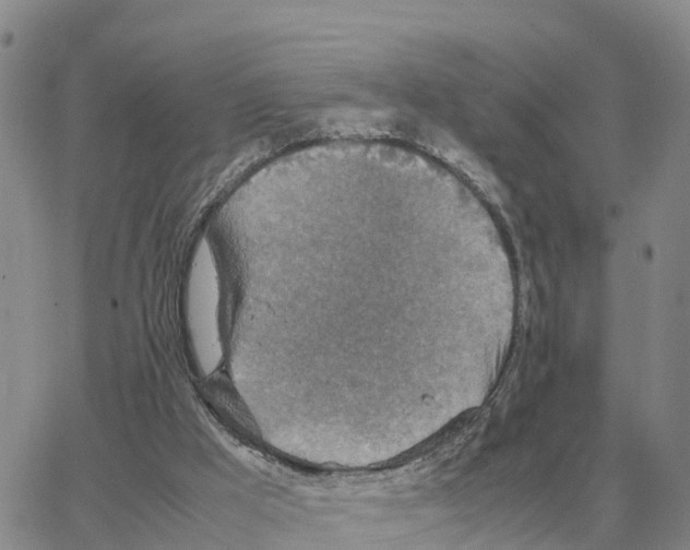 X0000064770009200603131445