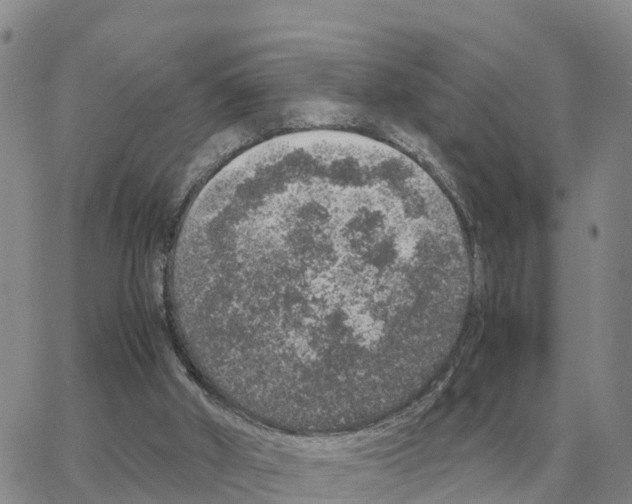 X0000064770010200603131445