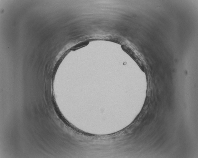 X0000064770011200603131445