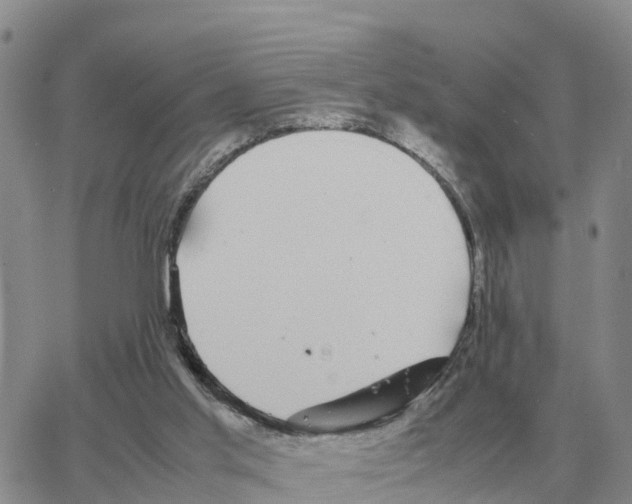 X0000064770013200603131445