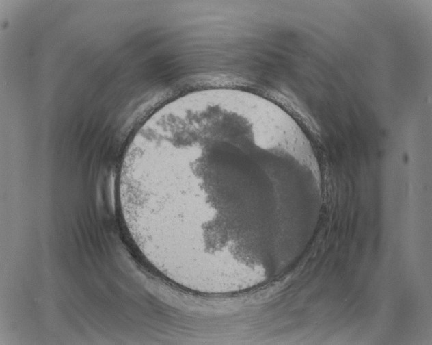 X0000064770014200603131445