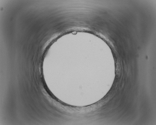 X0000064770015200603131445