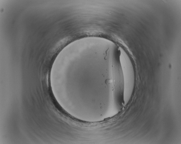 X0000064770019200603131445