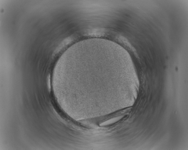 X0000064770020200603131445