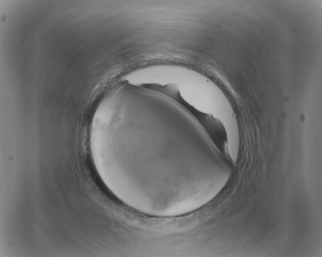 X0000064770023200603131445