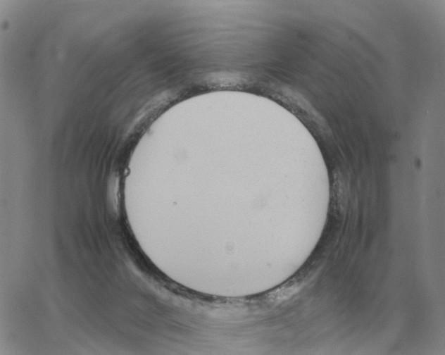 X0000064770024200603131445