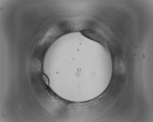 X0000064770025200603131445