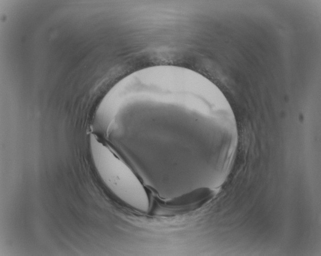 X0000064770027200603131445