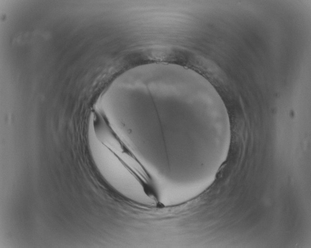 X0000064770031200603131445