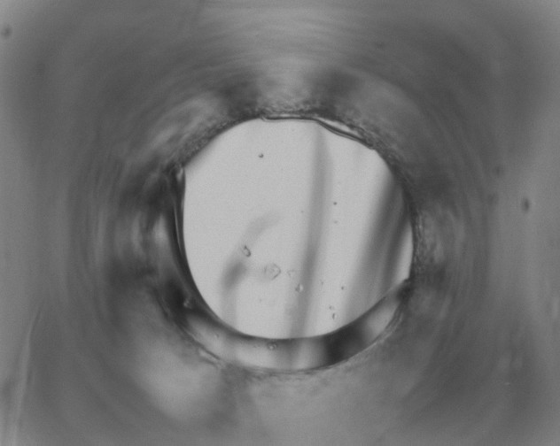 X0000064770033200603131445