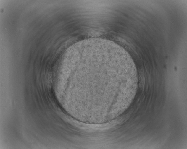 X0000064770034200603131445