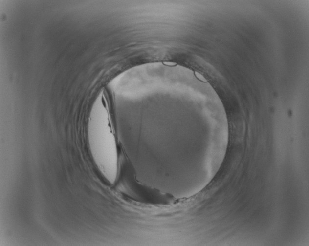 X0000064770035200603131445