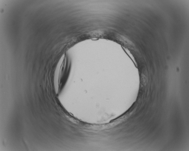 X0000064770037200603131445