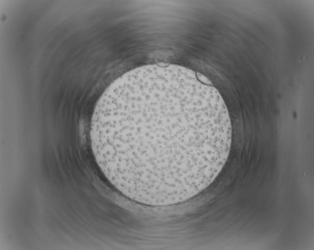 X0000064770038200603131445