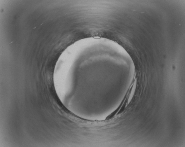 X0000064770039200603131445