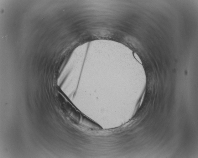 X0000064770040200603131445