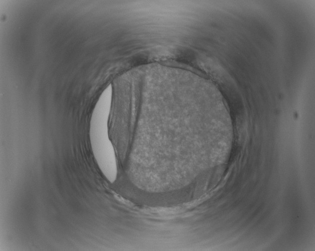 X0000064770041200603131445