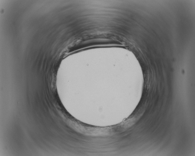 X0000064770044200603131445