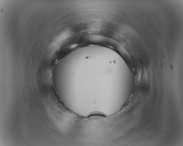 X0000064770045200603131445