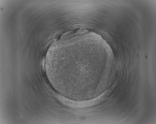 X0000064770047200603131445