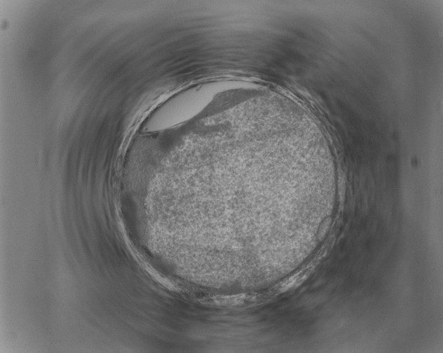 X0000064770049200603131444