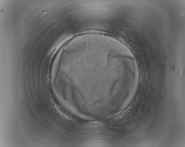 X0000064770050200603131444