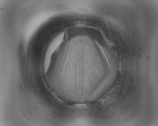 X0000064770052200603131444