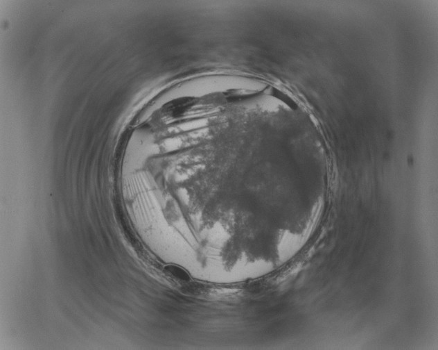 X0000064770055200603131444