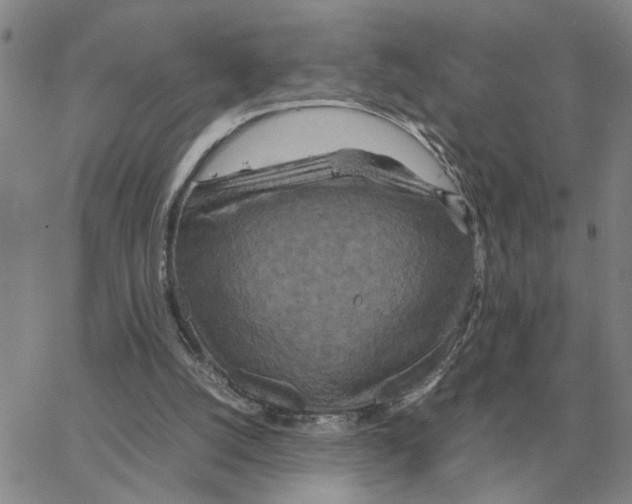 X0000064770056200603131444