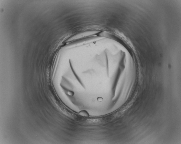 X0000064770057200603131444