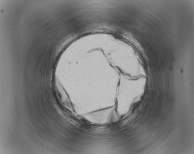 X0000064770058200603131444