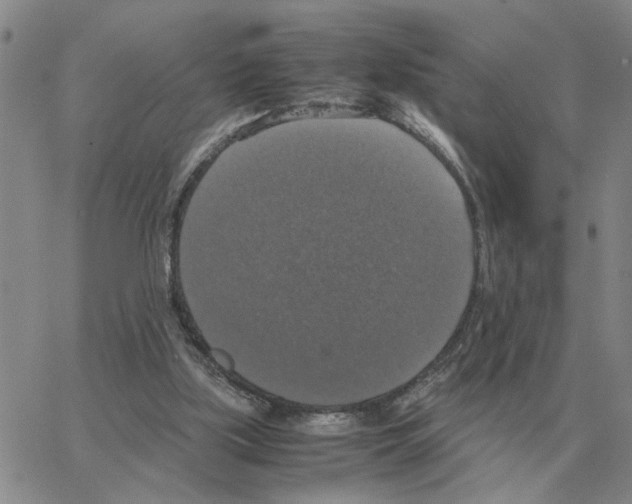 X0000064770059200603131444