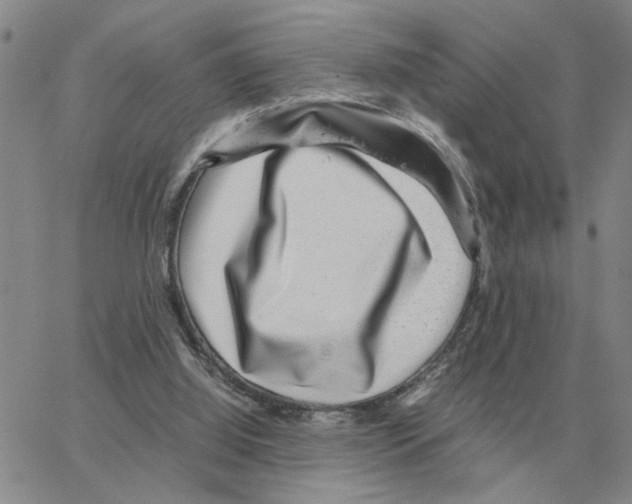 X0000064770060200603131444