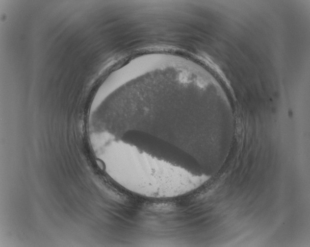 X0000064770063200603131444