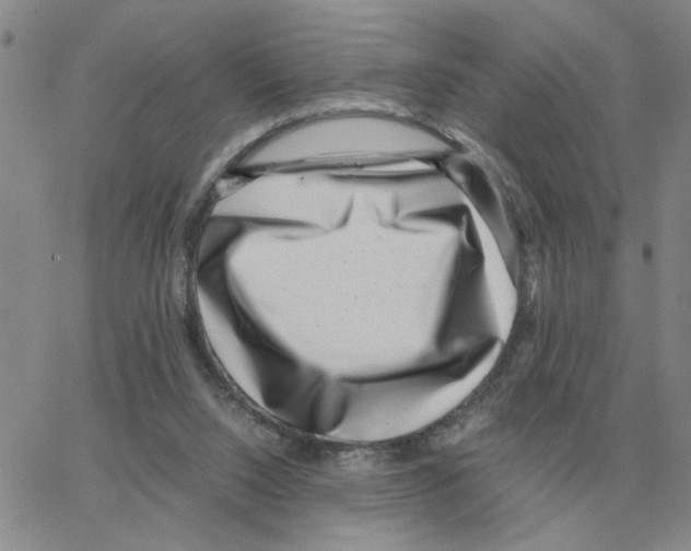 X0000064770064200603131444