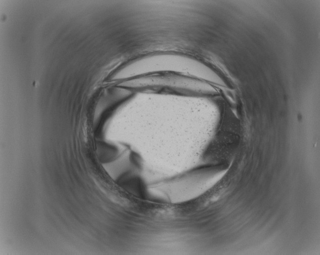 X0000064770068200603131444