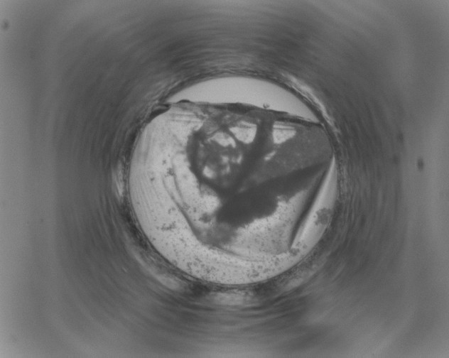 X0000064770069200603131444