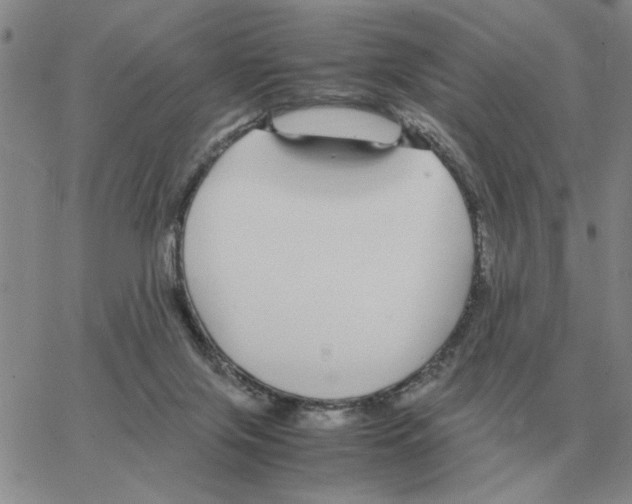 X0000064770071200603131444