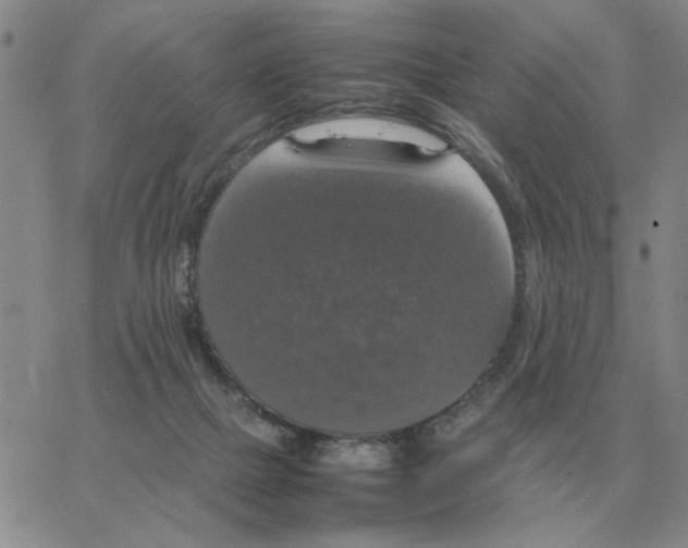 X0000064770073200603131444