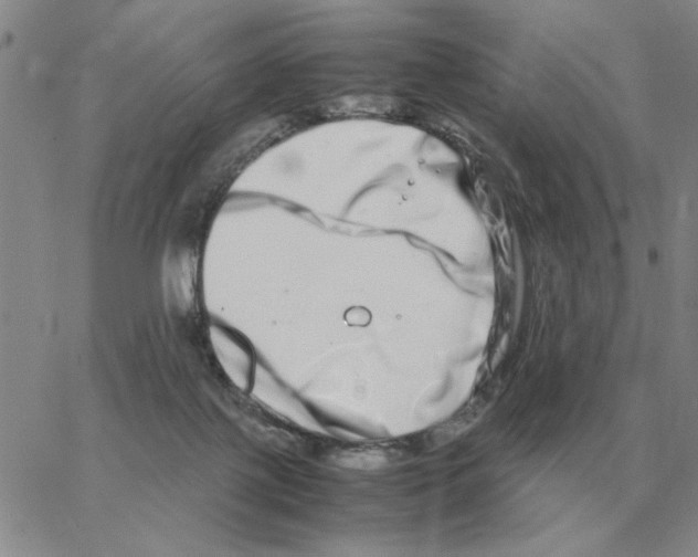 X0000064770075200603131444