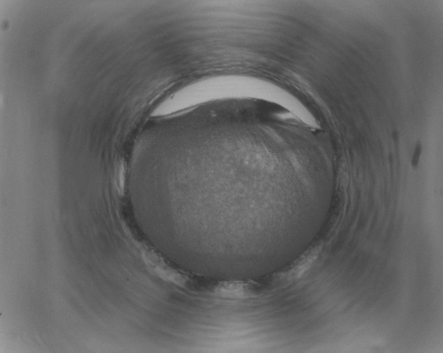 X0000064770076200603131444