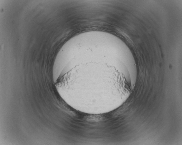 X0000064770077200603131444