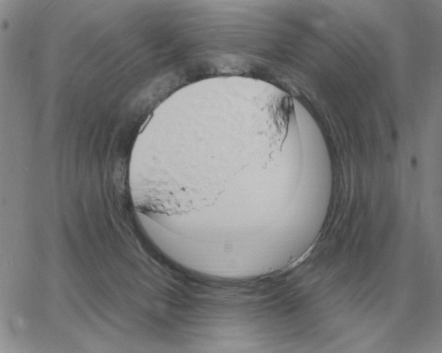 X0000064770078200603131444